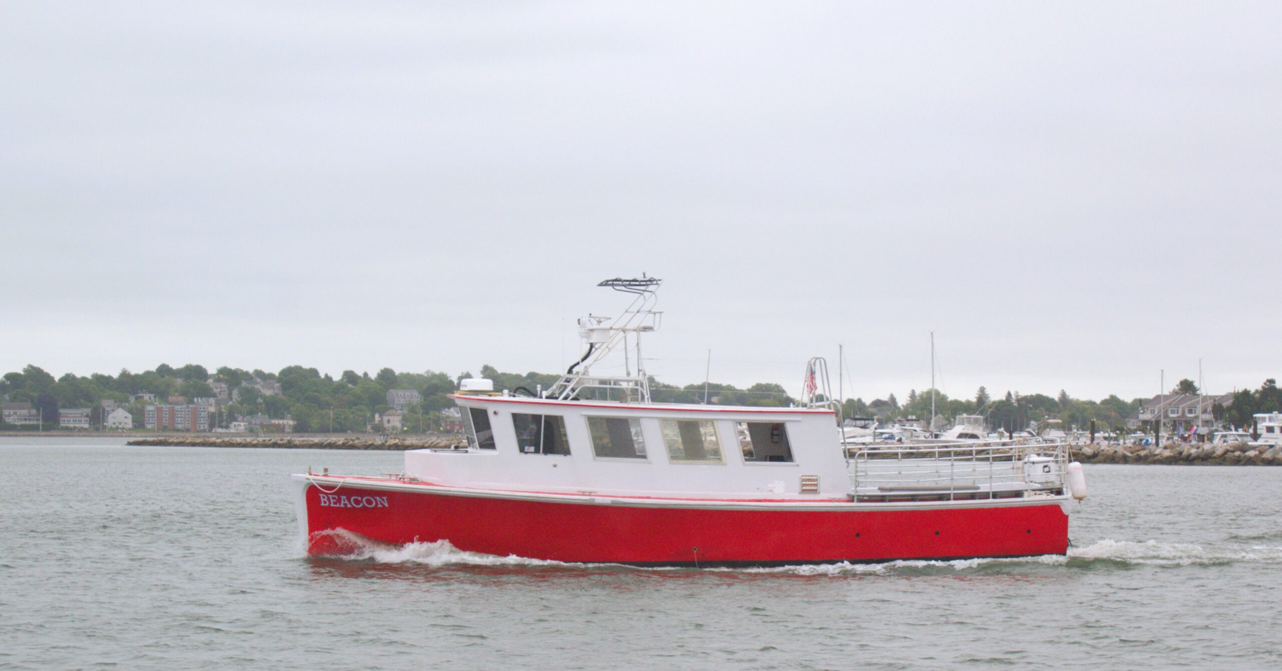 Boston_harbor_cruise